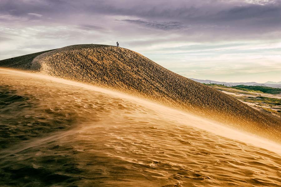 Japan’s Disappearing Dessert