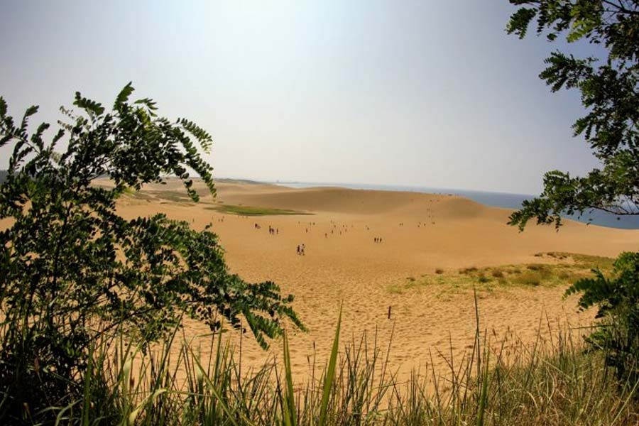 Japan’s Disappearing Dessert