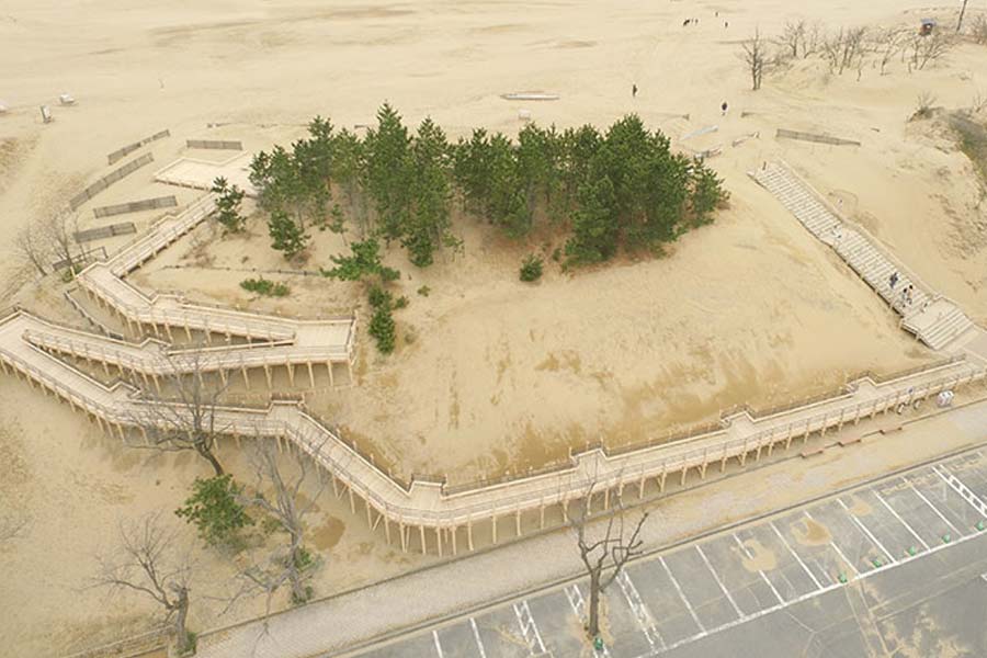 Japan’s Disappearing Dessert