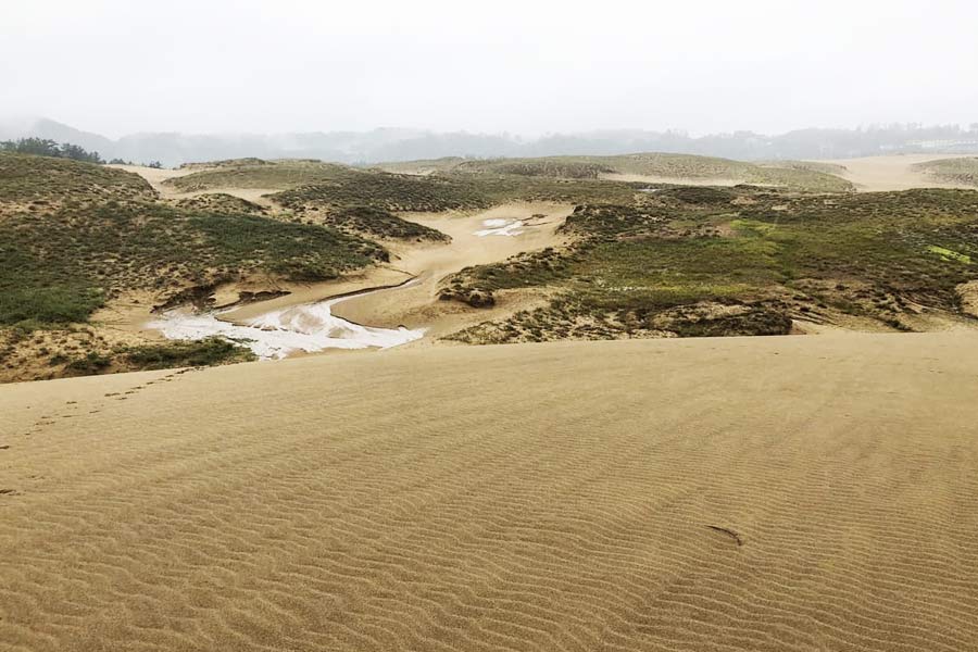 Japan’s Disappearing Dessert