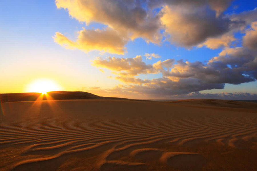 Japan’s Disappearing Dessert