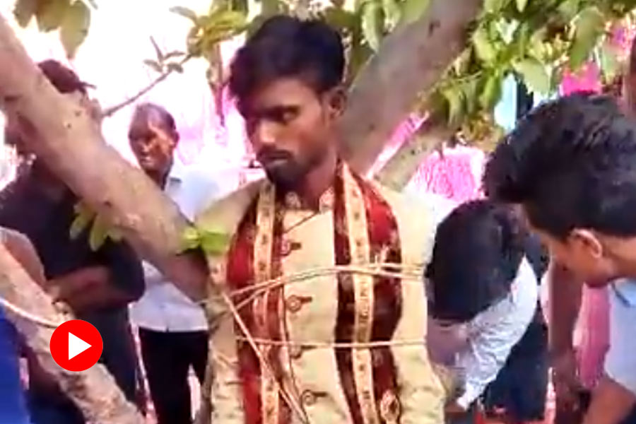 groom tied to tree