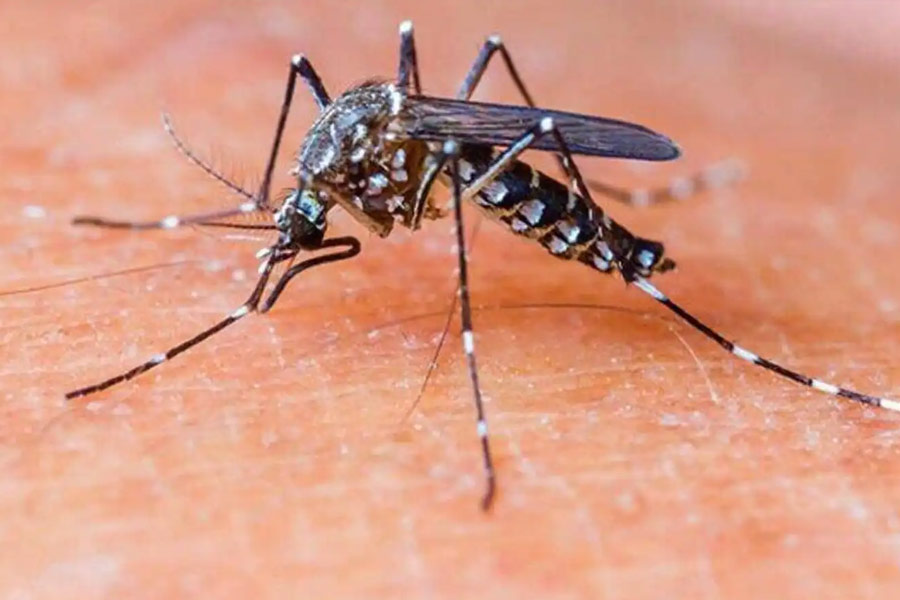 Bill Gates meets with President Xi Jinping