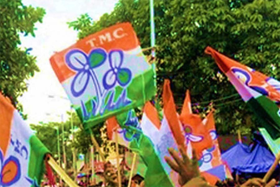 An image of TMC Flag