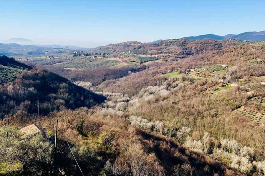 photo of  smallest restaurant