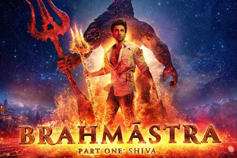 ‘গদর: এক প্রেম কথা’, ‘দ্য হিরো: লভ স্টোরি অফ আ স্পাই’, ‘দে দে প্যার দে’, ‘সোনু কে টিটু কি সুইটি’, ‘এক লড়কি কো দেখা তো অ্যায়সা লগা’ এবং ‘ব্রহ্মাস্ত্র’-এর মতো ছবিতে অভিনয় করেছেন তিনি।