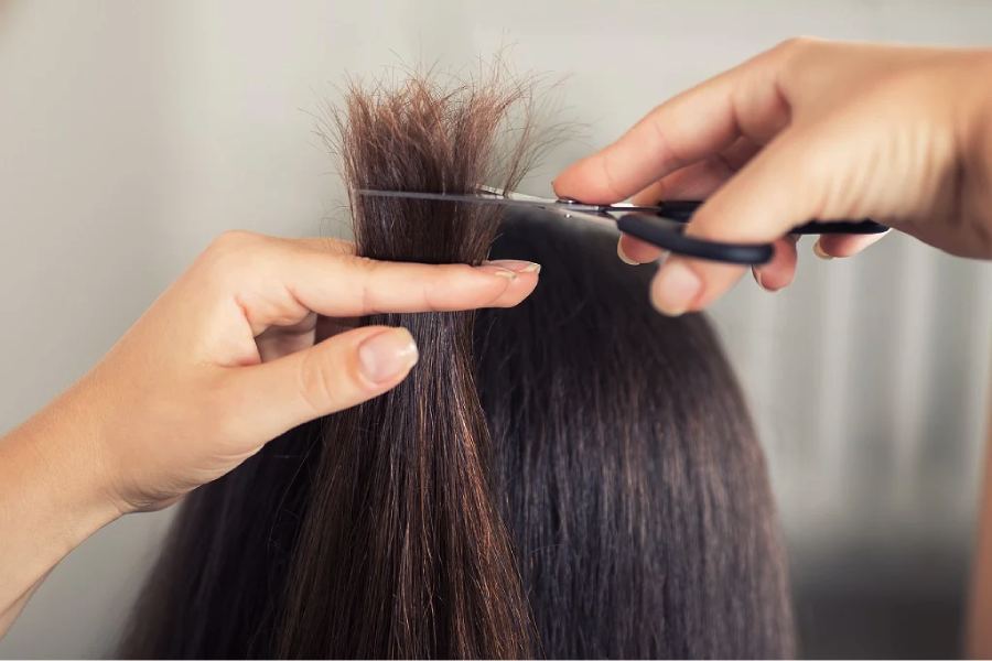 Image of hair trimming