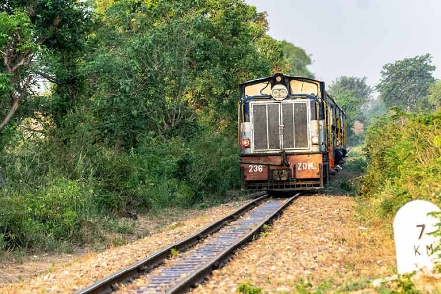 All you need to know about Train that runs daily between Nangal to Bhakar and giving free rides for the last 75 years dgtl