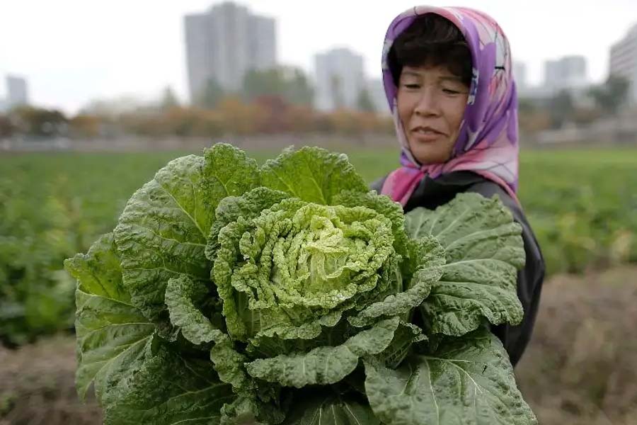 North Korea is facing food crisis as Kim Jong Un has fortified borders since Covid Pandemic 