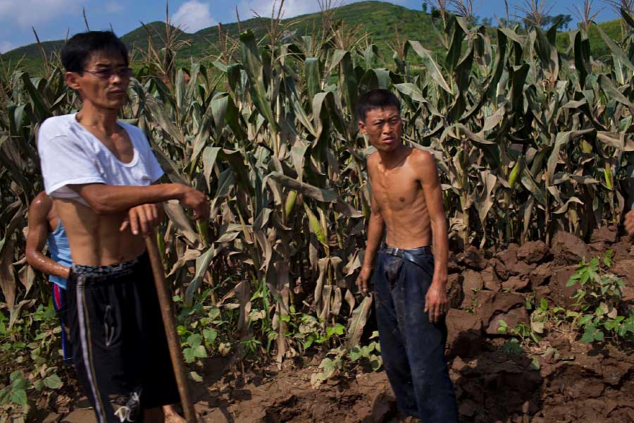 North Korea is facing food crisis as Kim Jong Un has fortified borders since Covid Pandemic 