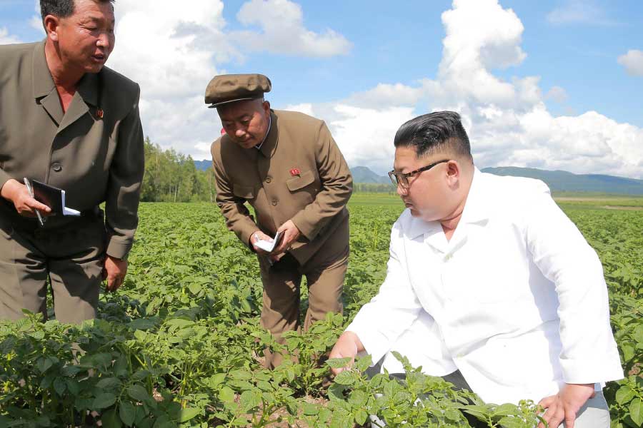 North Korea is facing food crisis as Kim Jong Un has fortified borders since Covid Pandemic 