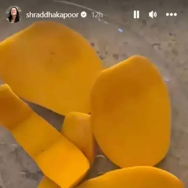 instagram story of bollywood actor Shraddha Kapoor