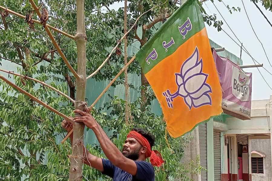 BJP flags