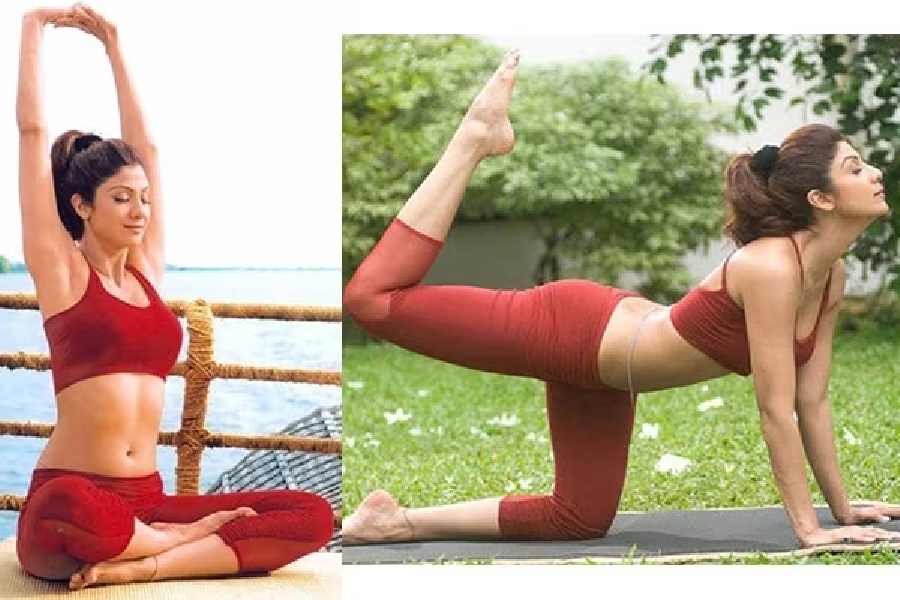 shilpa shetty