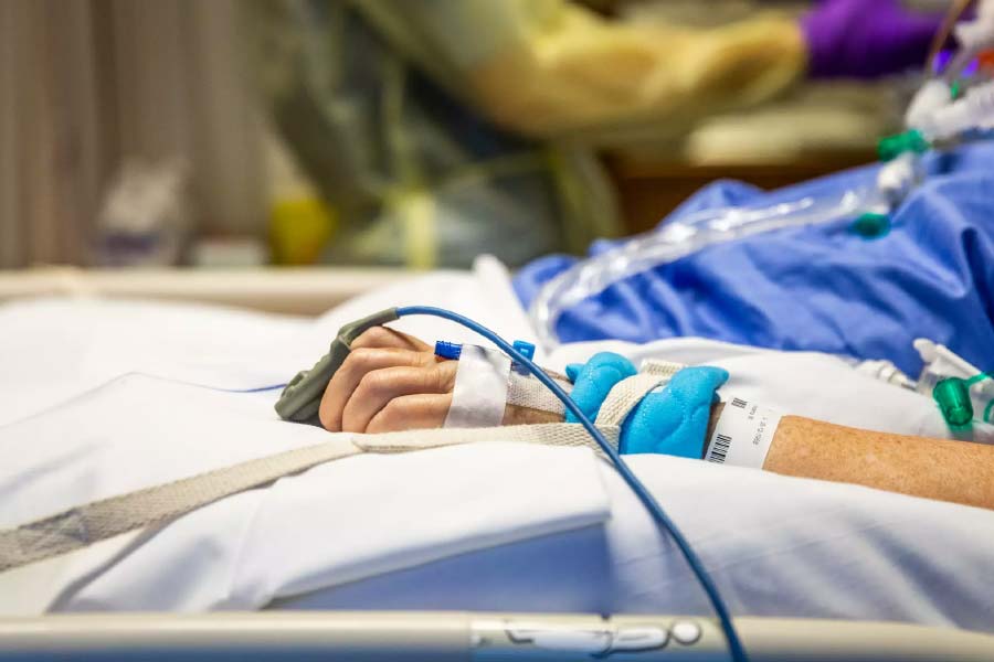 খাবার হজম করানোর জন্য লিলির মেরুদণ্ডের অস্ত্রোপচার করে একটি টিউব ঢুকিয়ে দেওয়া হয়েছিল। যাতে ওই টিউবের মাধ্যমে তার পাকস্থলীতে অ্যাসিড নিঃসরণ করানো যায়। অতিমারি পর্বে ওই অস্ত্রোপচারের সময় থেকেই লিলির সঙ্গে বাইরের লোকজনের দেখাসাক্ষাৎ বন্ধ করে দেওয়া হয়েছিল।