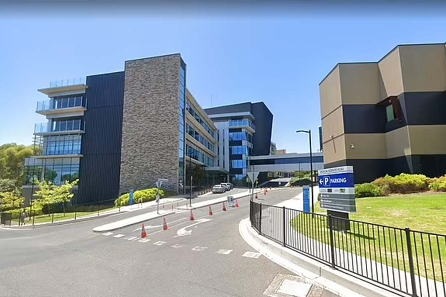 পরীক্ষা-নিরীক্ষায় আরও ধরা পড়ে, লিলির মস্তিষ্কের বাঁ দিকে একটি বড়সড় ক্ষত রয়েছে। সিডনি থেকে অ্যাডিলেডে ফিরিয়ে আনা হয় লিলিকে। সেখানে ফ্লিন্ডার্স মেডিক্যাল সেন্টারের লরেল হসপিসেস-এ ভর্তি করানো হয়েছিল তাঁকে। ওই সময় থেকেই বেঁচে থাকার দিন গোনা শুরু লিলির।