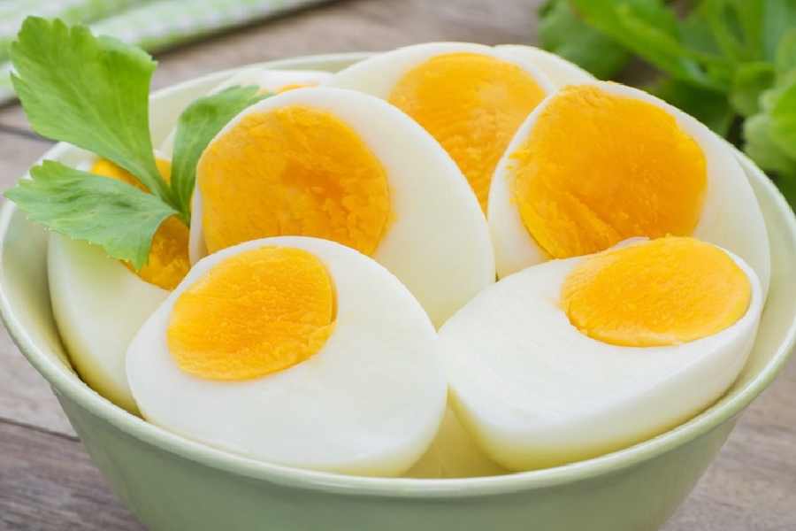  Image of Egg.