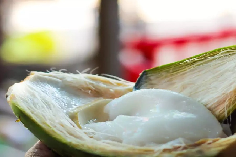 Image of coconut malai 