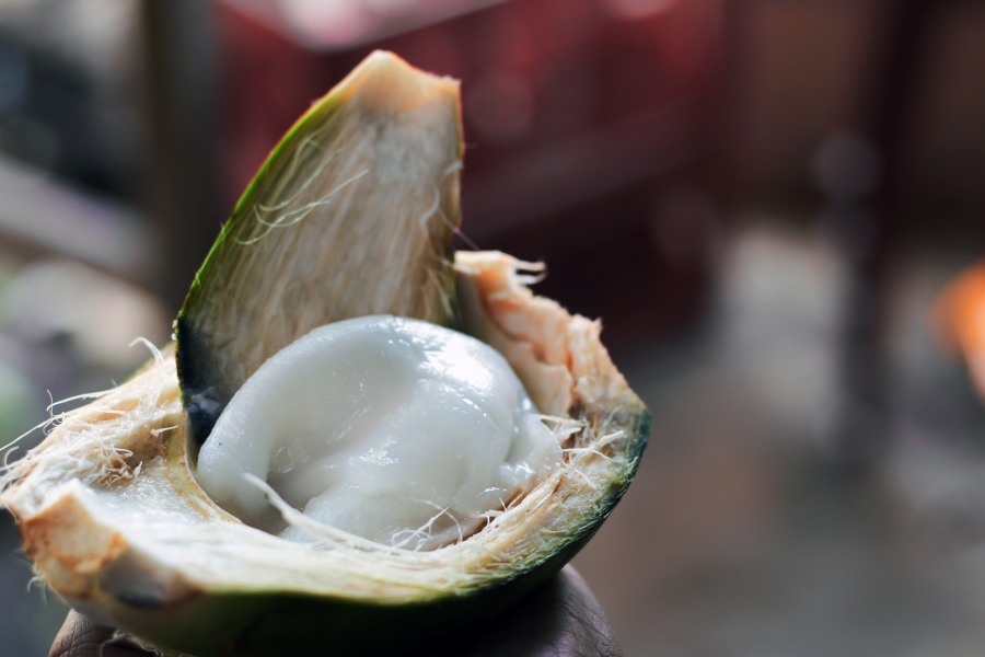Image of Coconut Malai 