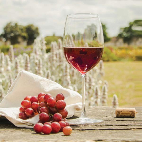 Patel Wine made by Gujarat born Raj Patel on State dinner for PM Narendra Modi arranged by White House 