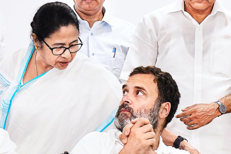 Mamata Banerjee and Rahul Gandhi.