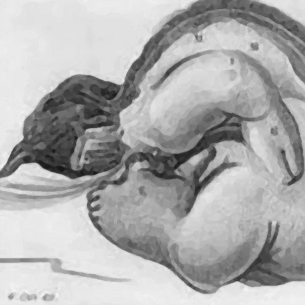 প্রথমে একটি পা বেরিয়ে আসে, তার পর আরও একটি পা। শরীরে জননাঙ্গের কিছু অংশও হাতে উঠে আসে তাঁর।