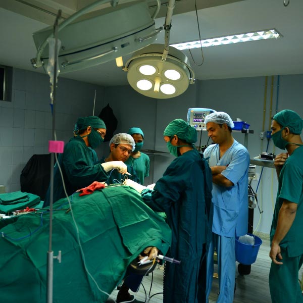  যে চিকিৎসকেরা ভগতের চিকিৎসা করেছিলেন, তাঁরা জানিয়েছেন, ভগৎ তাঁর শরীর থেকে বেরনো যমজ ভাইয়ের দেহ দেখতে চাননি। সেই সমস্ত অগঠিত হাড়গোড়, মাংসপিণ্ড, চুলের দিকে ফিরেও তাকাননি তিনি।