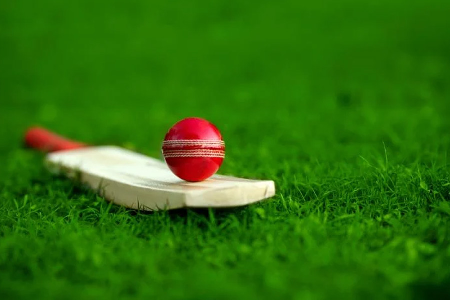 Representational picture of cricket