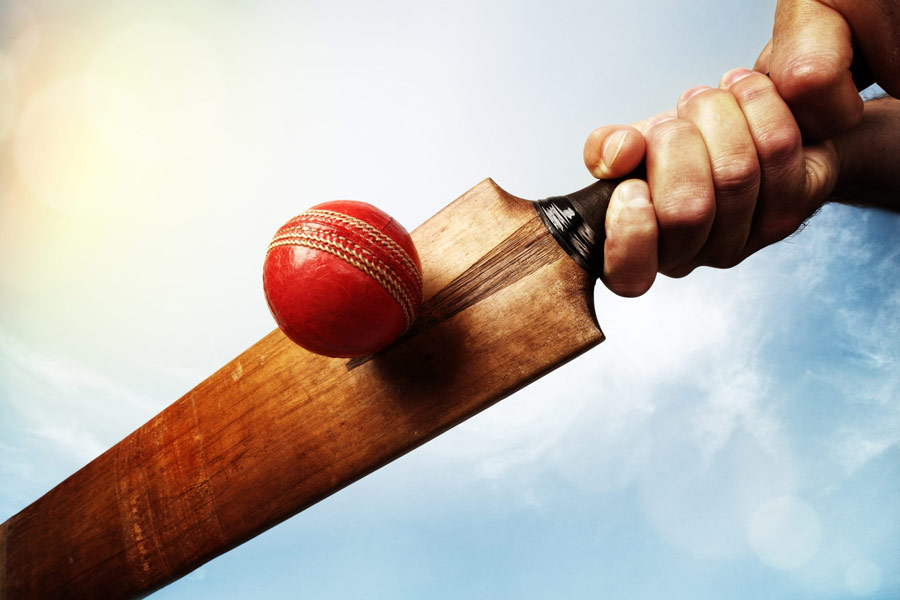 Representational image of cricket