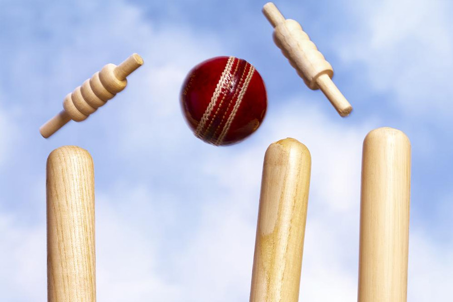 Representational picture of cricket