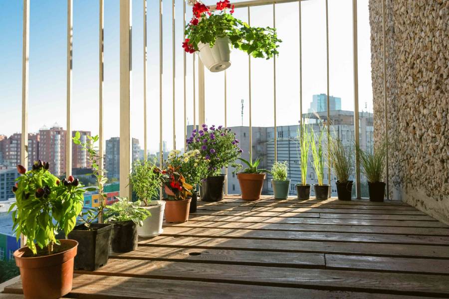 Image of Balcony garden.