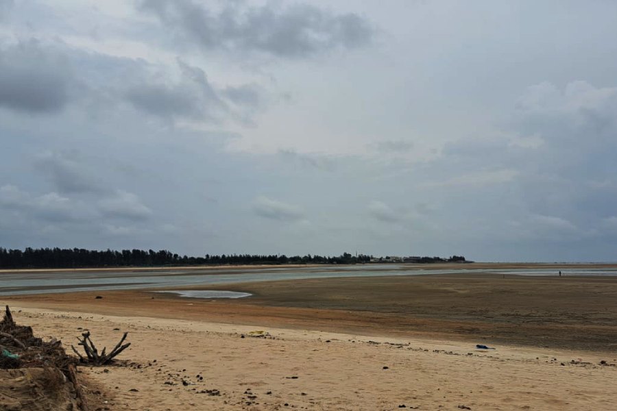 Image of Sea Beach