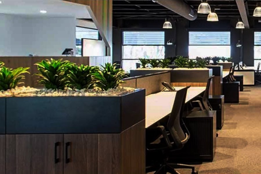 Image of Indoor plants