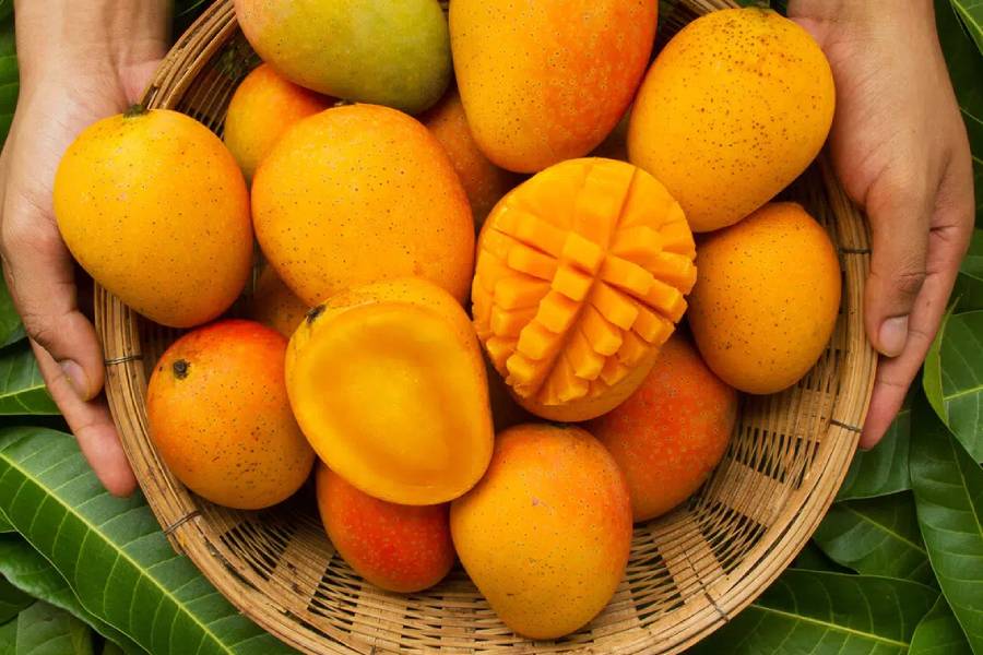 Image of Mangoes.