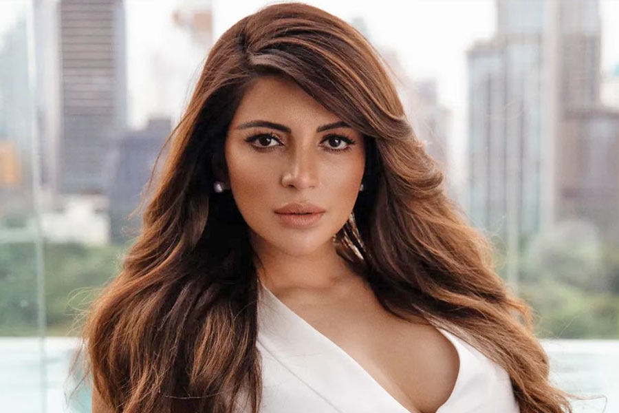 ফারদিন খানের ‘প্রেম অগন’ হোক বা আমির খান অভিনীত ‘মন’— দু’টি ছবিতেই পার্শ্বচরিত্রে অভিনয়ের সুযোগ পেয়েছিলেন শমা সিকন্দর। 