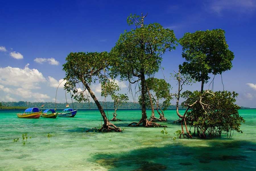 Image of Havelock Island 