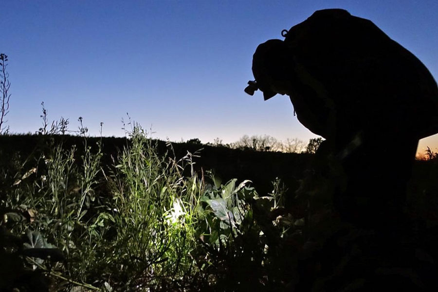 Representational picture of open field