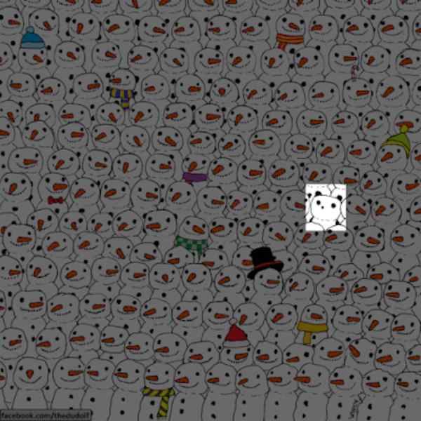 ধাঁধার উত্তর। 