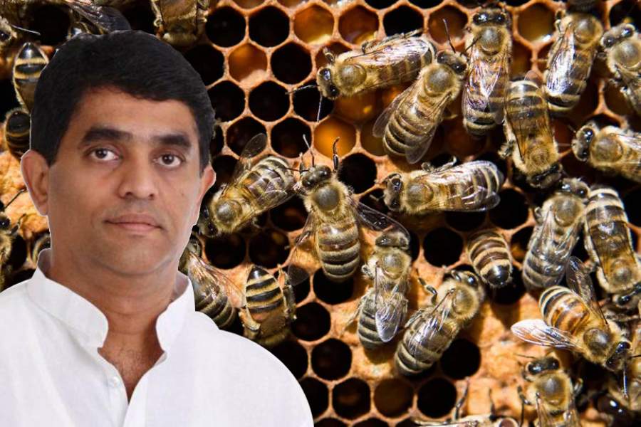 Finance Minister of Andhra Pradesh escaper bee attack