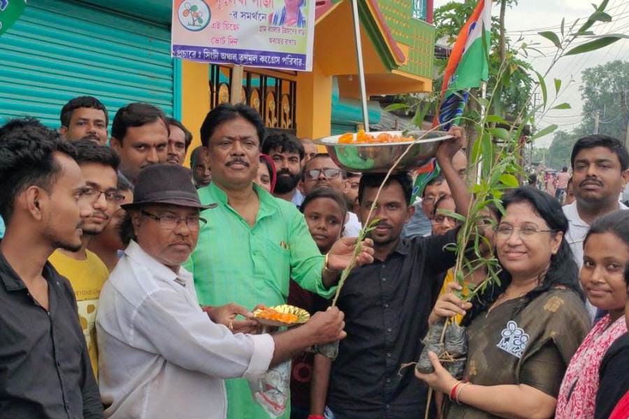 Oppositions mock TMC over jilipi and tree distribution program in Howrah