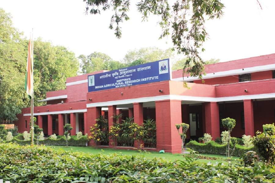 ICAR-Indian Agricultural Research Institute.