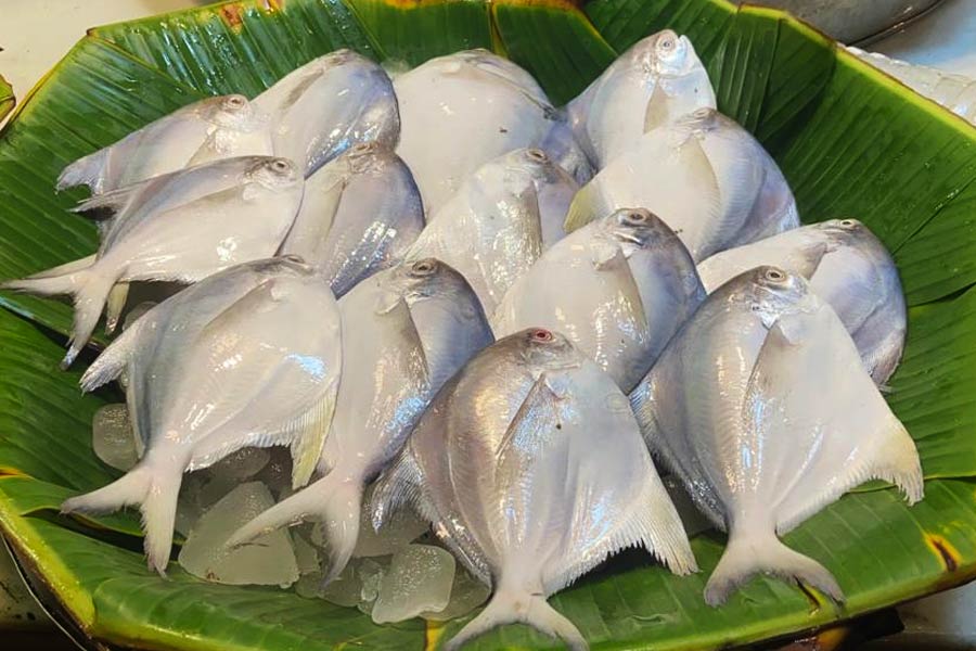 image of Pomfret.