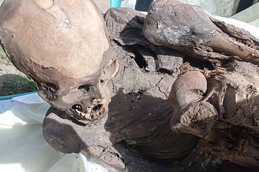 image of mummy recovered from a food delivery bag in Peru