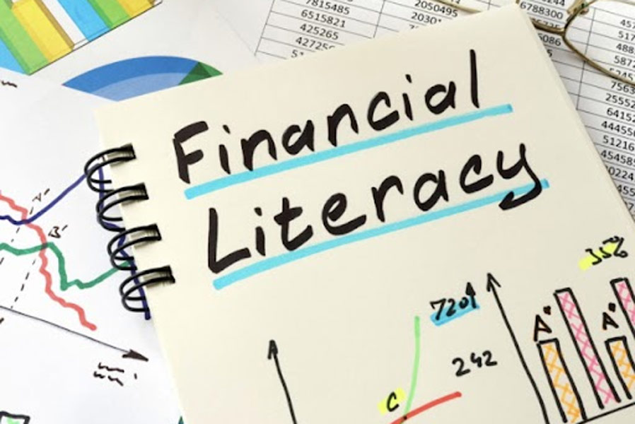 representational picture of financial literacy.