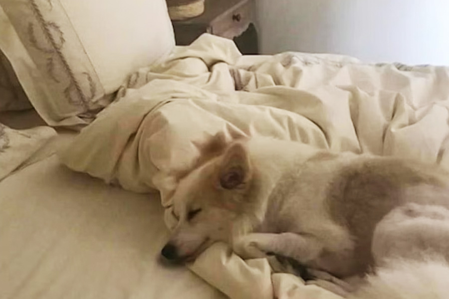 photo of Malaika Arora's home