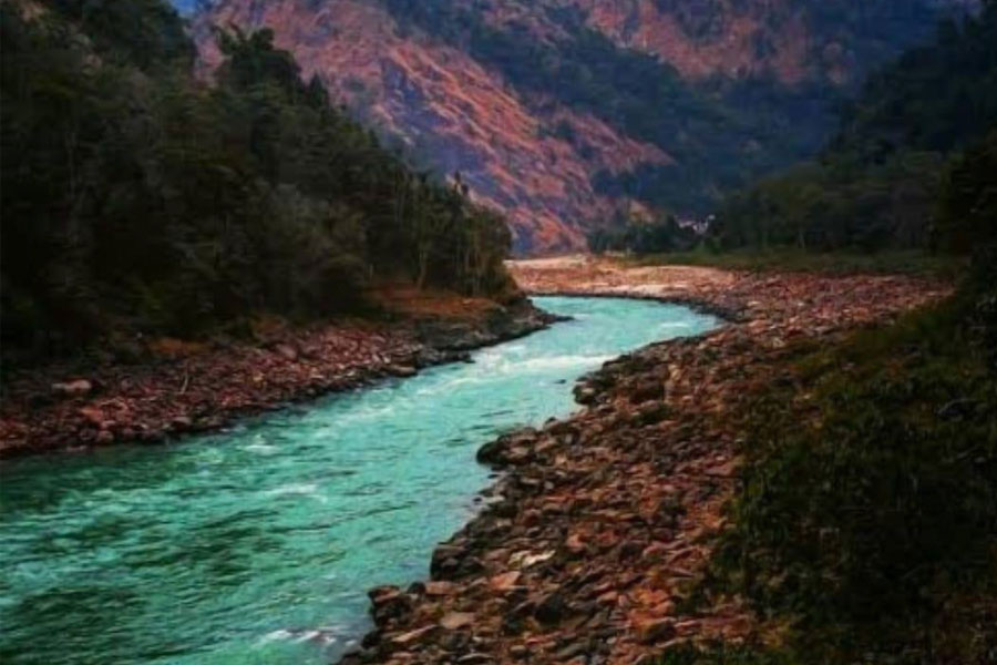 History of pornographic film.