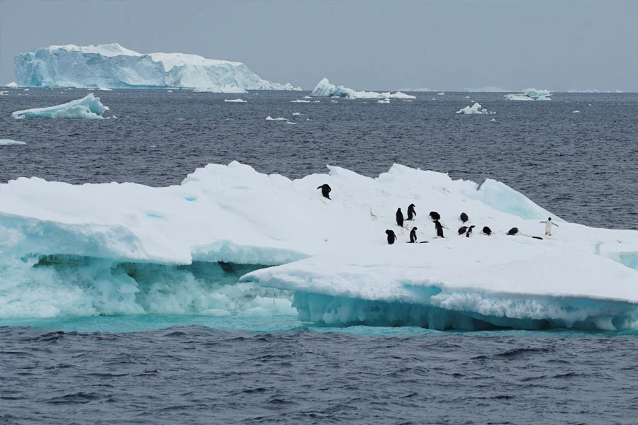 Scientists worried Antarctic sea ice hits lowest levels ever recorded