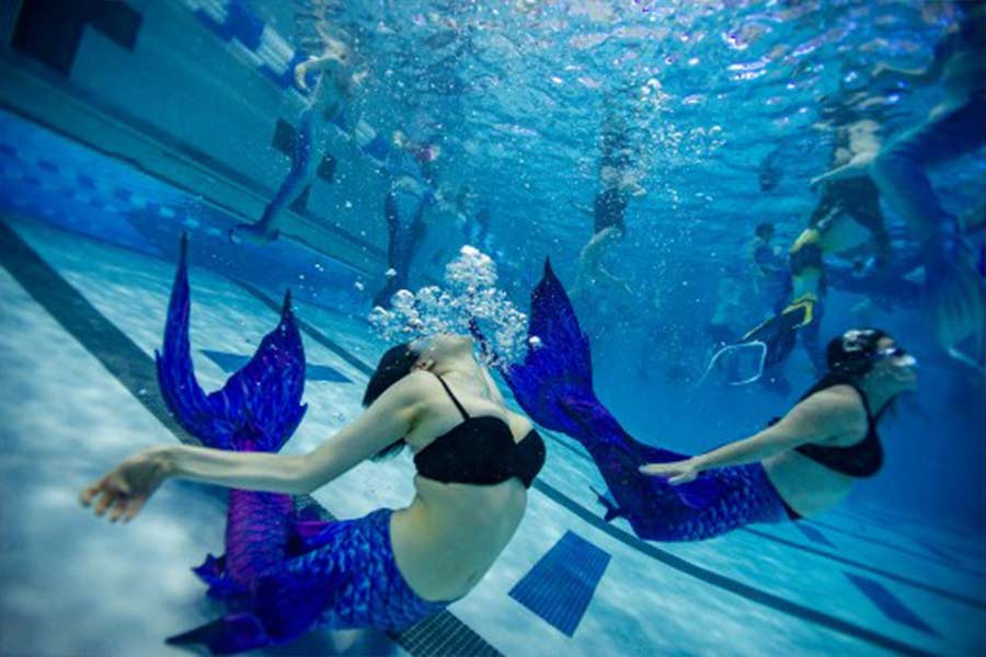 ভার্জিনিয়ায় হওয়া এই অনুষ্ঠানের নাম ‘মারম্যাজিক কনভেনশন’। ৩ থেকে ৫ মার্চ এই অনুষ্ঠানের আয়োজন করা হয়েছিল। যেখানে মৎস্যকন্যার রূপে সেজেছিলেন শতাধিক মহিলা।