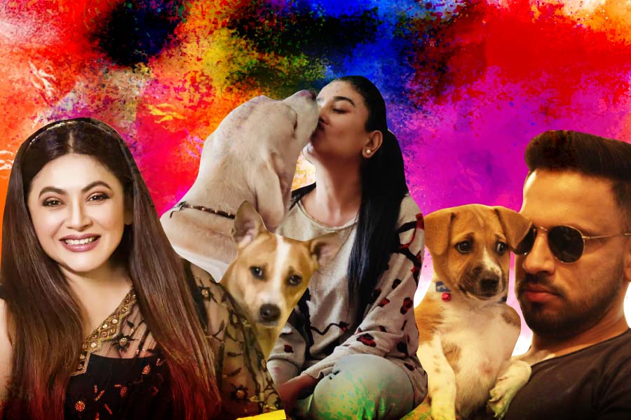 Tollywood celebrities request not to put colours on pets and strays on Holi 