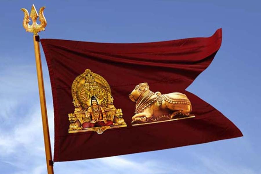 অন্যান্য দেশের মতো, কৈলাসেও ট্রেজ়ারি, বাণিজ্য, সার্বভৌম, আবাসন, মানবসেবা এবং আরও অনেক দফতর রয়েছে বলে ওয়েবসাইটে উল্লেখ রয়েছে।